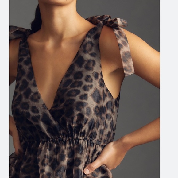 Daniel Rainn V-Neck Organza Dress - Picture 4 of 11